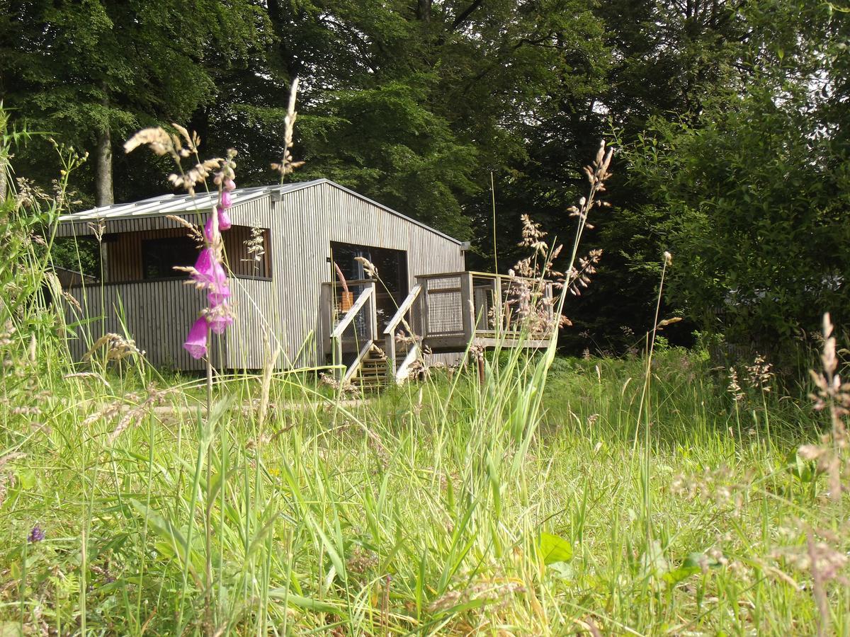 L'Etape En Foret Saint-Sever-Calvados Exterior foto