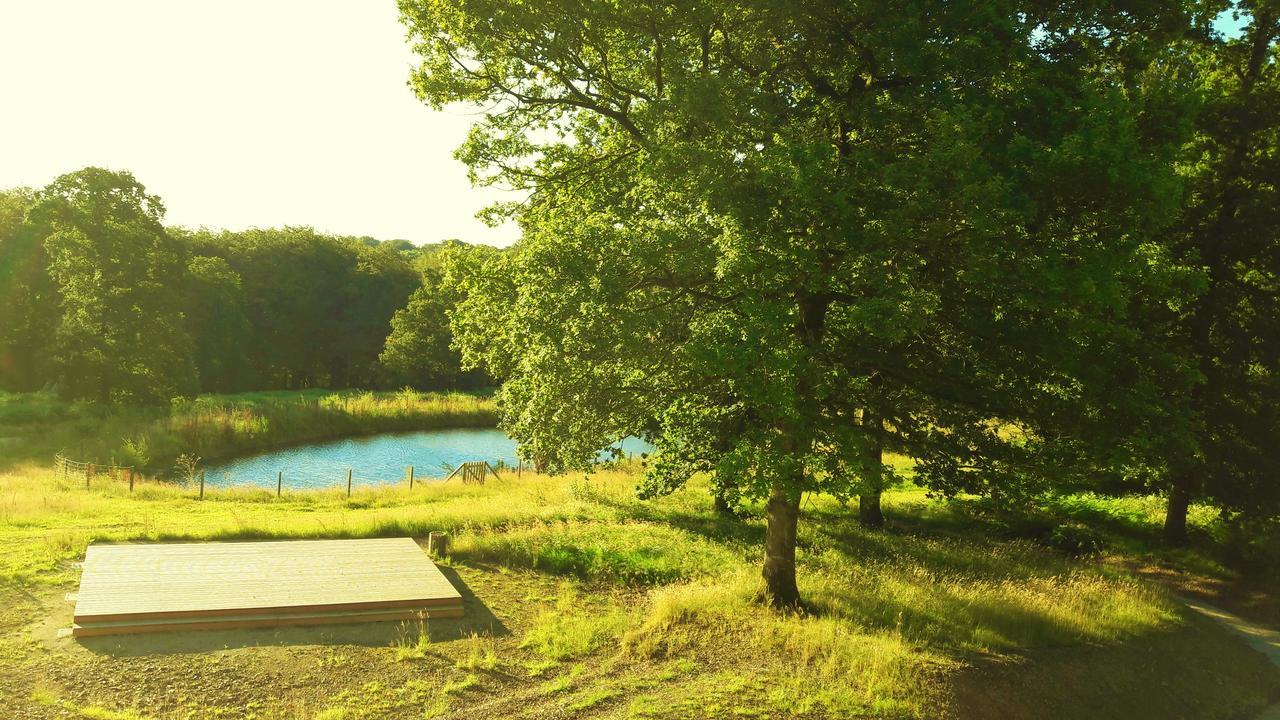 L'Etape En Foret Saint-Sever-Calvados Exterior foto
