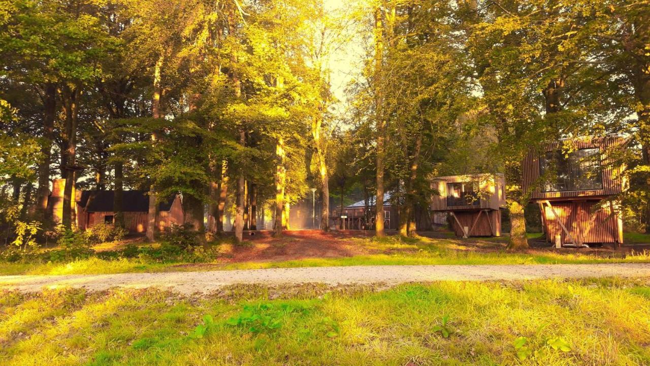 L'Etape En Foret Saint-Sever-Calvados Exterior foto